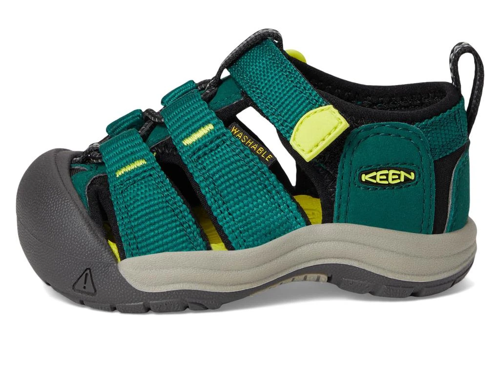 Keen Newport H2 (Toddler) 4