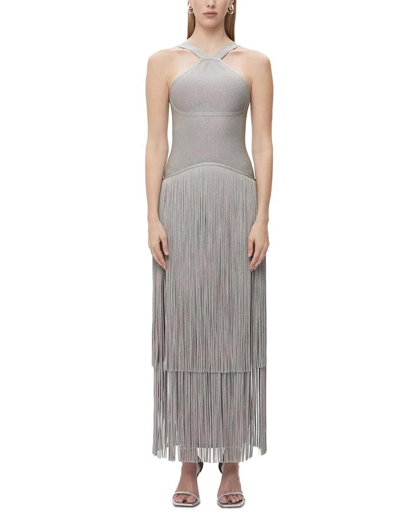 Herve Leger Kennedy Metallic Fringe Gown 1