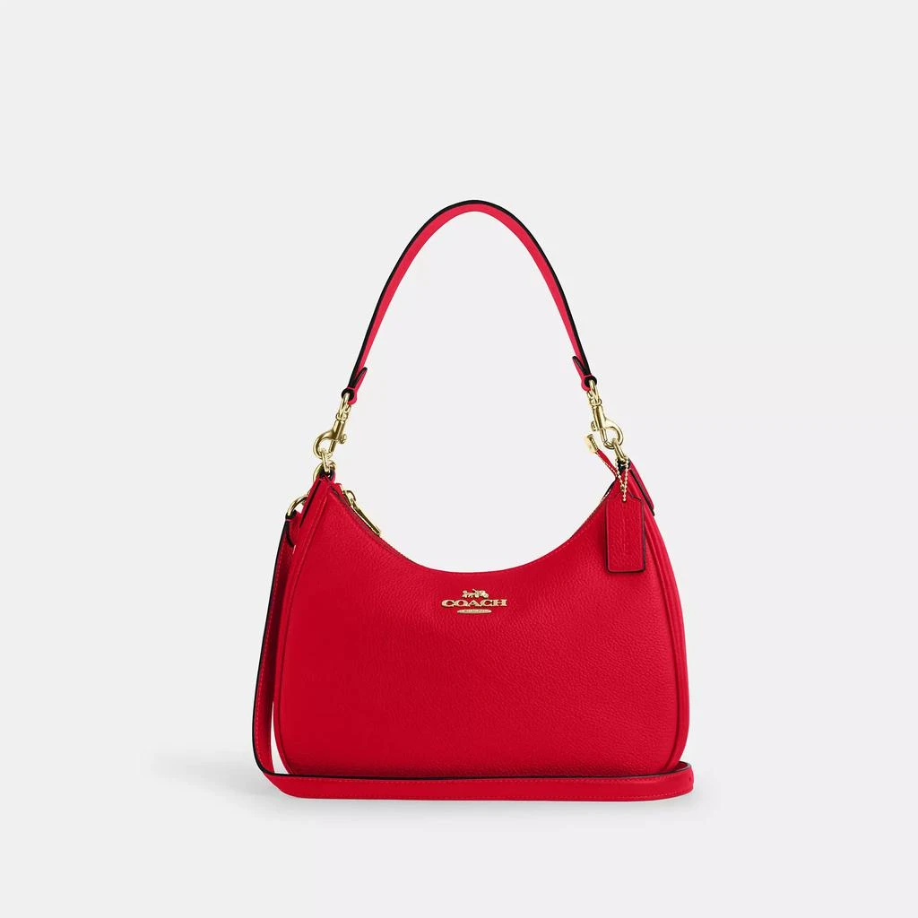 preivew Teri Hobo Bag color