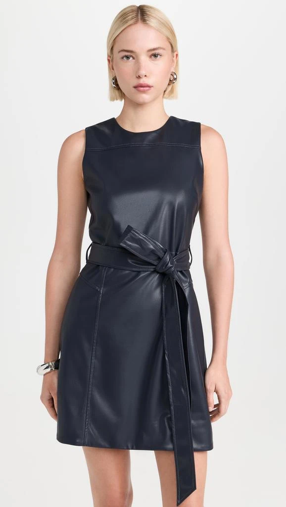 Tanya Taylor Claudia Dress 1