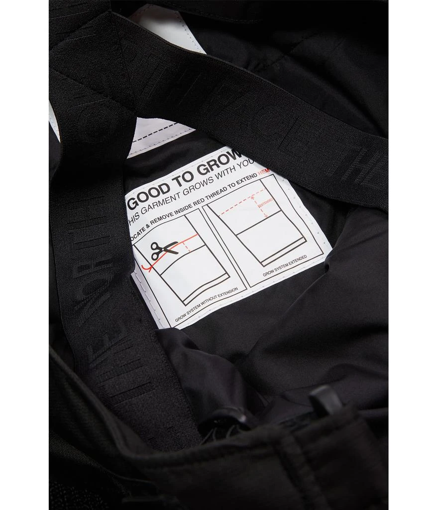 The North Face Teen Freedom Insulated Bib (Little Kid/Big Kid) 2