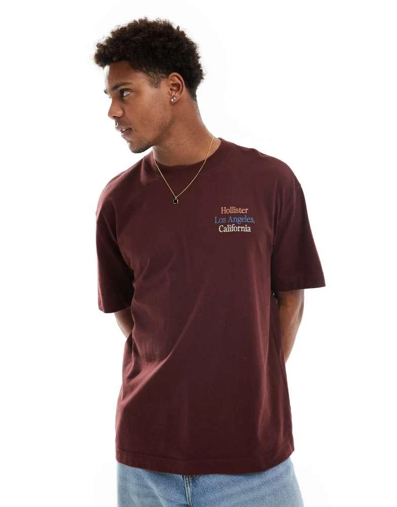 HOLLISTER Hollister multi colour logo heavyweight boxy fit t-shirt in brown 1