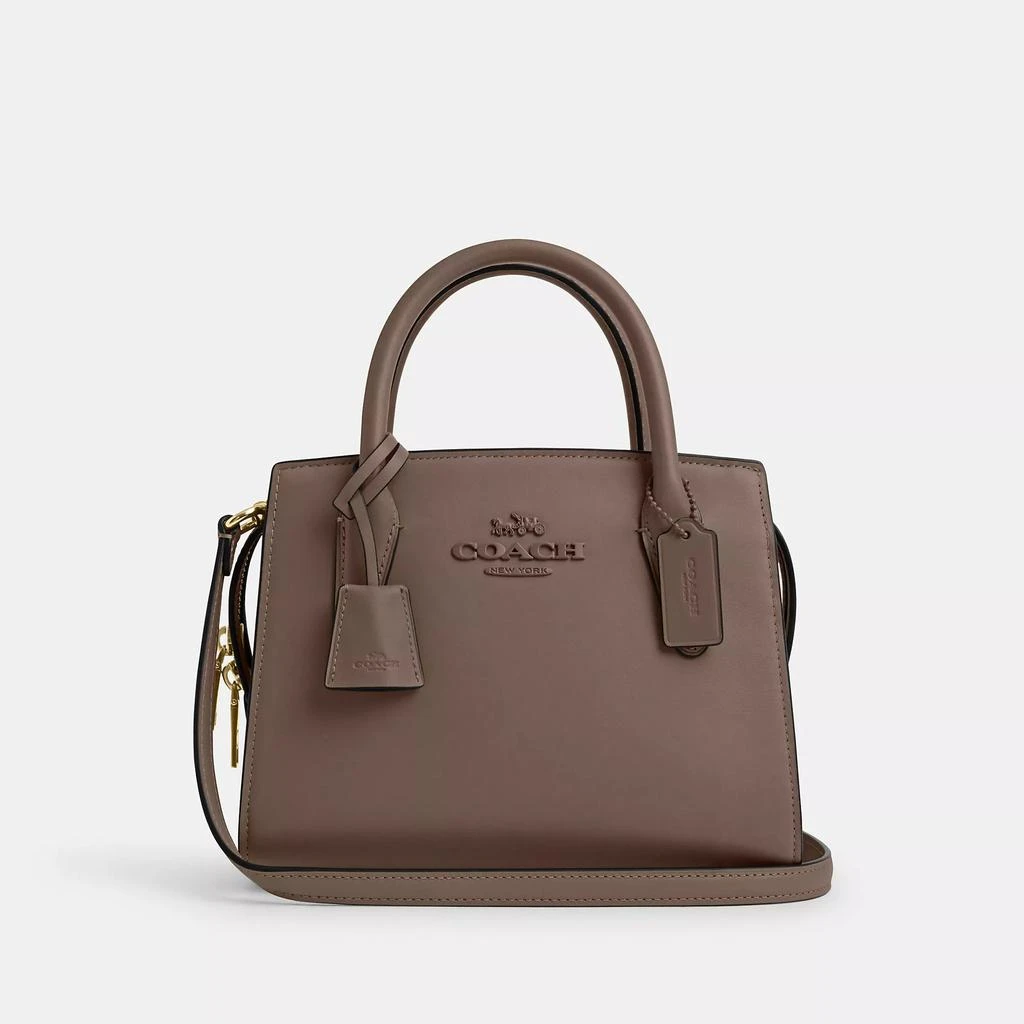 Coach Andrea Carryall 7