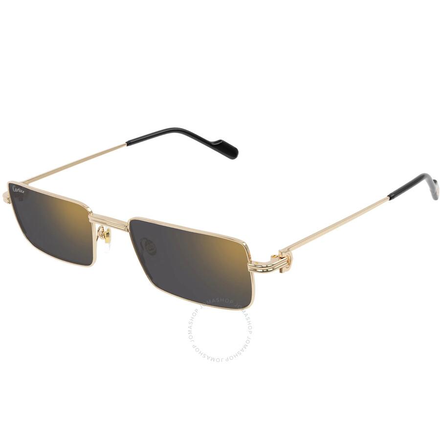 Cartier Cartier CT0548SA 001 - Sunglasses - BeyondStyle
