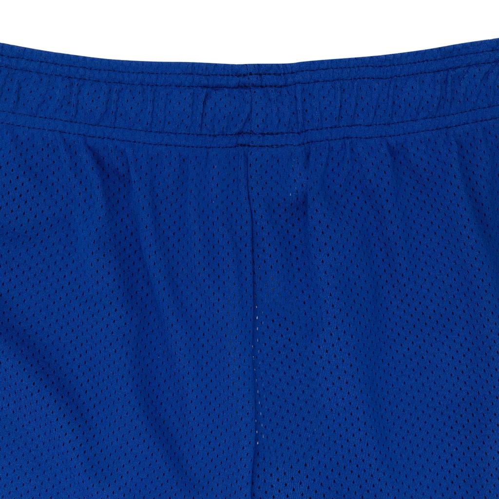 Warren Lotas BAT REAPER MESH PURPLE SHORTS