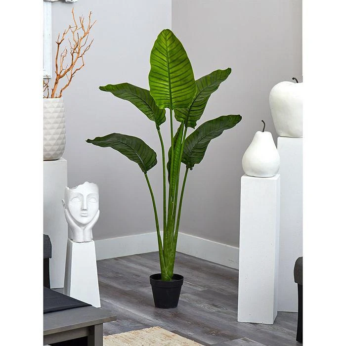 NEARLY NATURAL 60in. Travelers Palm Tree UV Resistant (Indoor/Outdoor) 7
