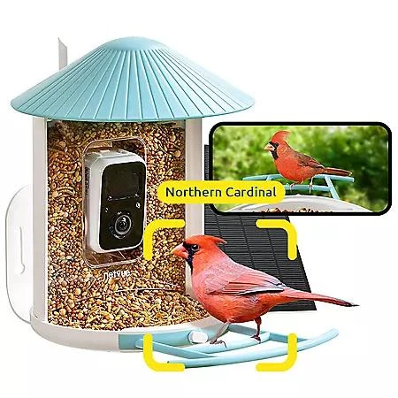 Birdfy Birdfy Smart Bird Feeder with Camera 1