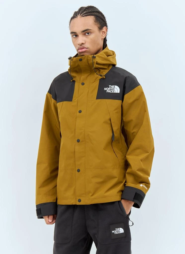 The North Face GTX Mountain Jacket 1