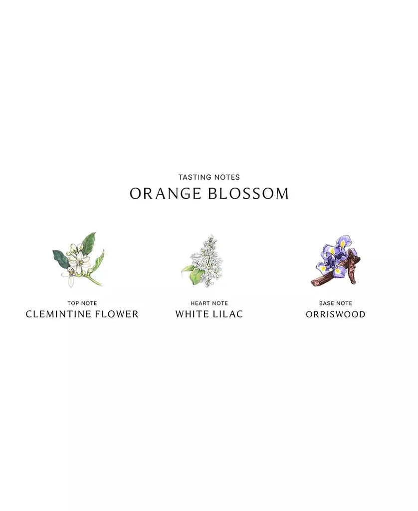 Jo Malone London Orange Blossom Cologne, 1-oz. 4