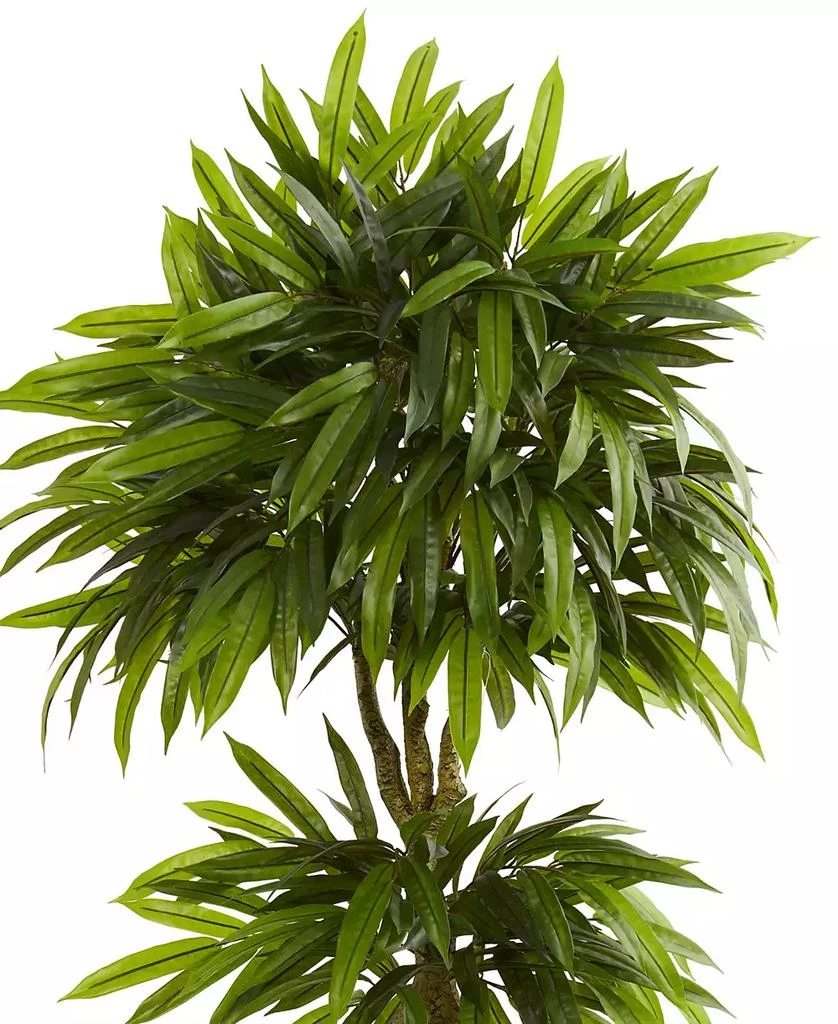 NEARLY NATURAL 5.5' Mango Artificial Tree in Black Wash Planter UV Resistant 2