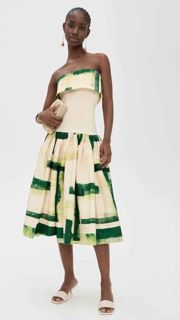 Alexis Robia Dress 4