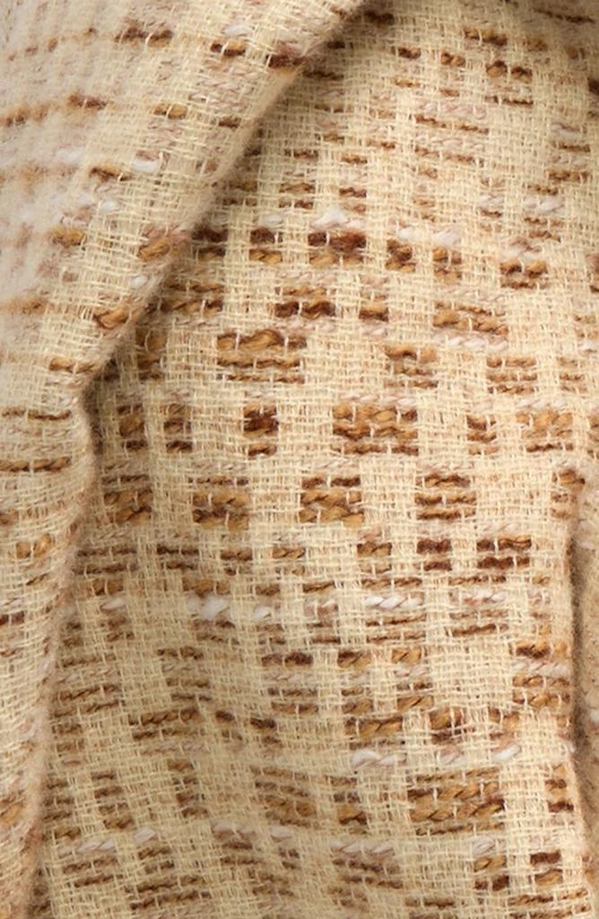 Treasure & Bond Woven Fringed Scarf 4