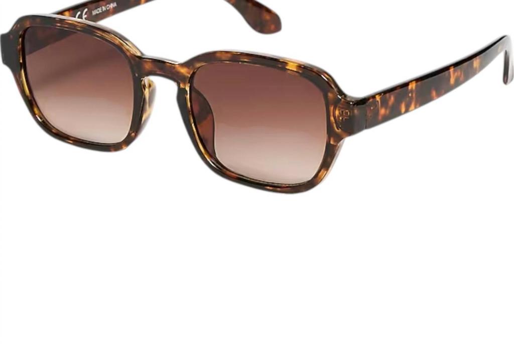J. Crew Oval Sunglasses In Tortoise