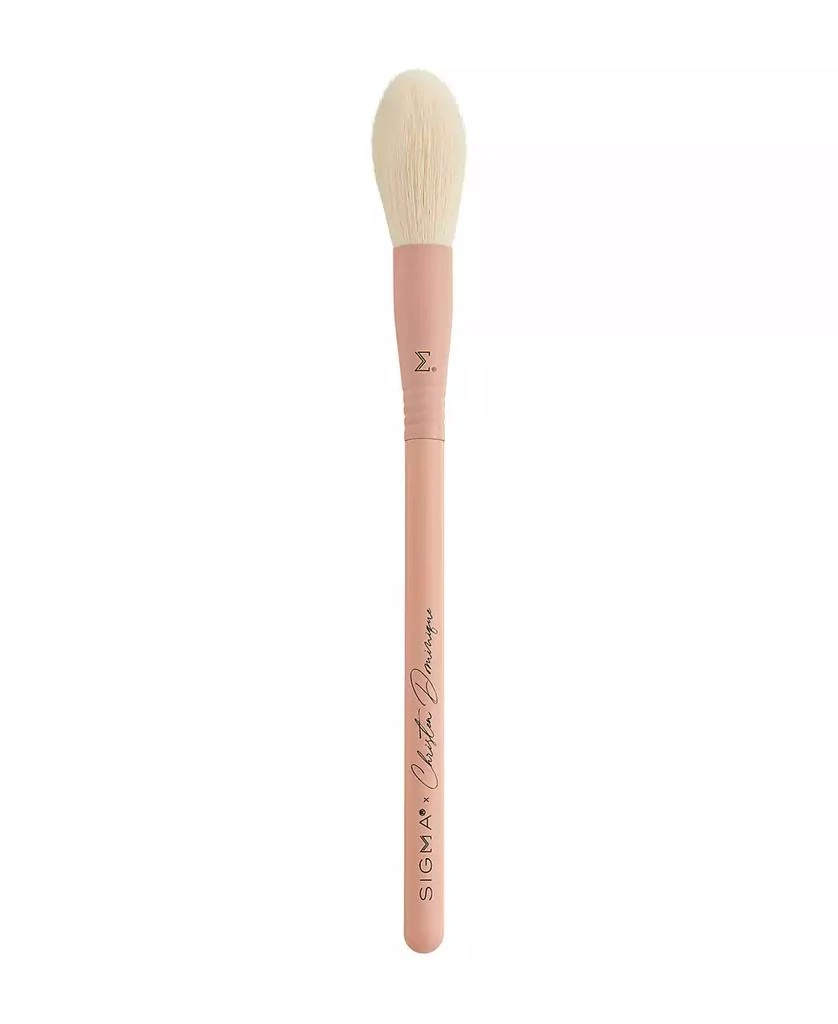 Sigma Beauty X Christen Dominique Brush Set 6