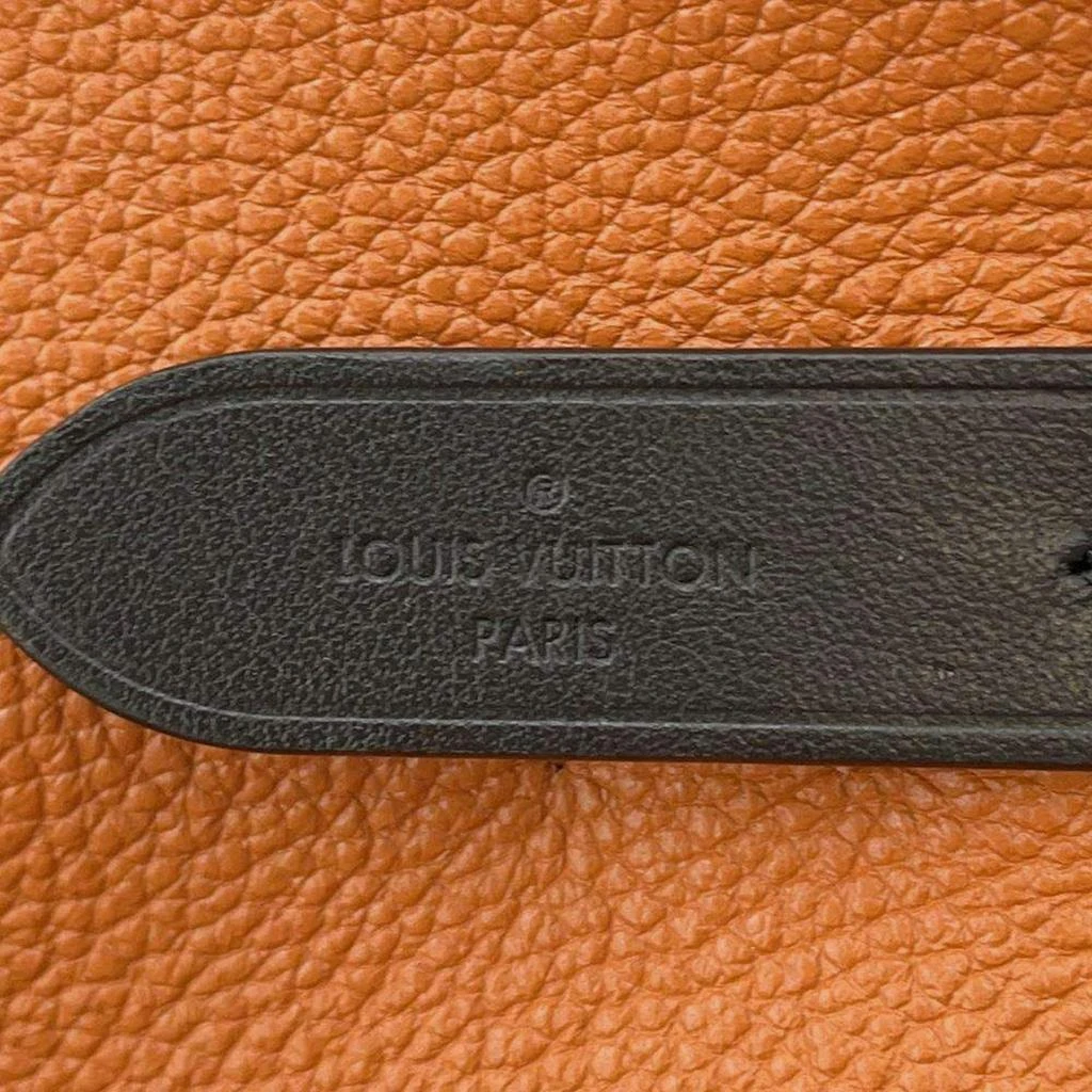 Louis Vuitton Louis Vuitton Caramel/Black Monogram / Giant Neonoe bag 11
