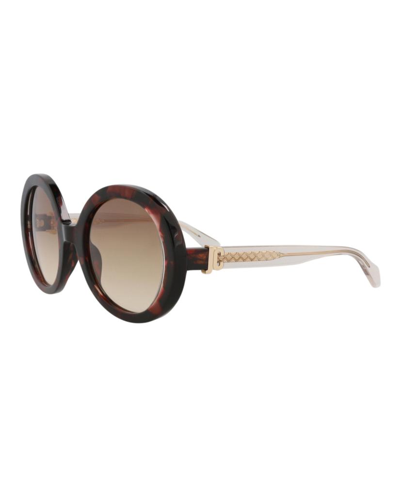 Just Cavalli Round-Frame Acetate Sunglasses