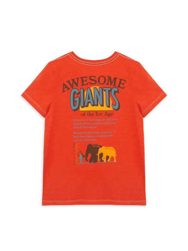 PEEK Little Boy's & Boy's Mammoth Tee