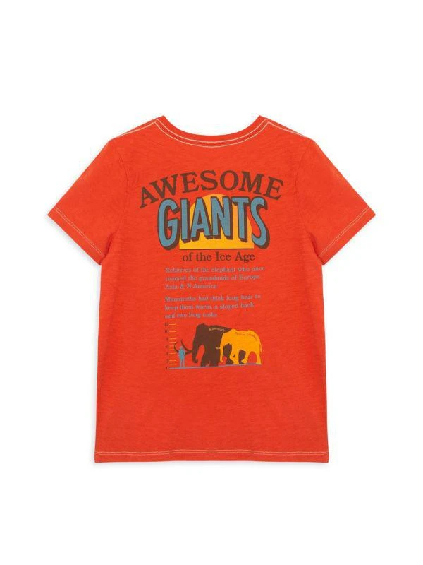 PEEK Little Boy's & Boy's Mammoth Tee 1