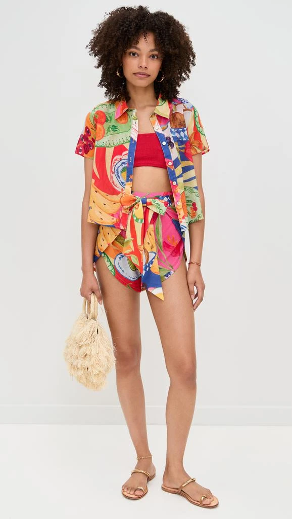 Farm Rio Summer Picnic Shorts 4