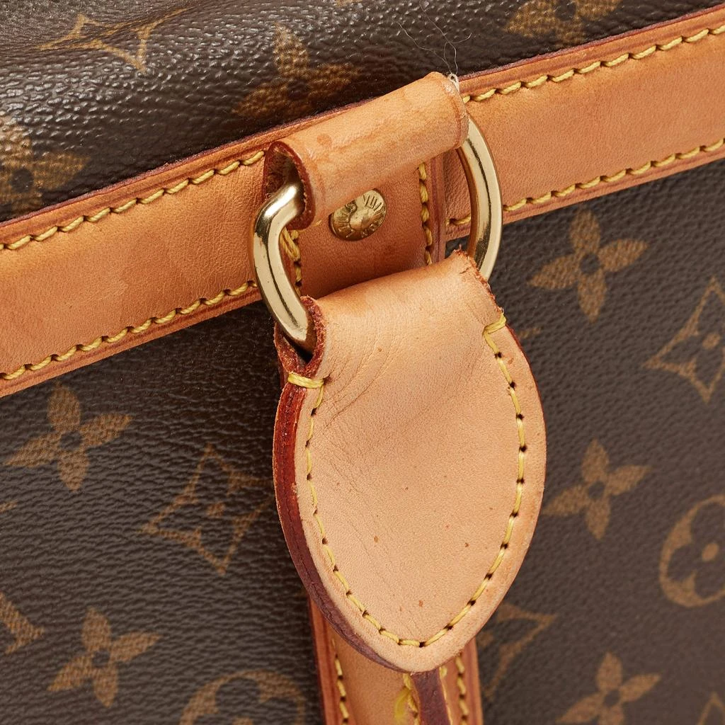 Louis Vuitton Louis Vuitton Monogram Canvas Dog Carrier 40 11