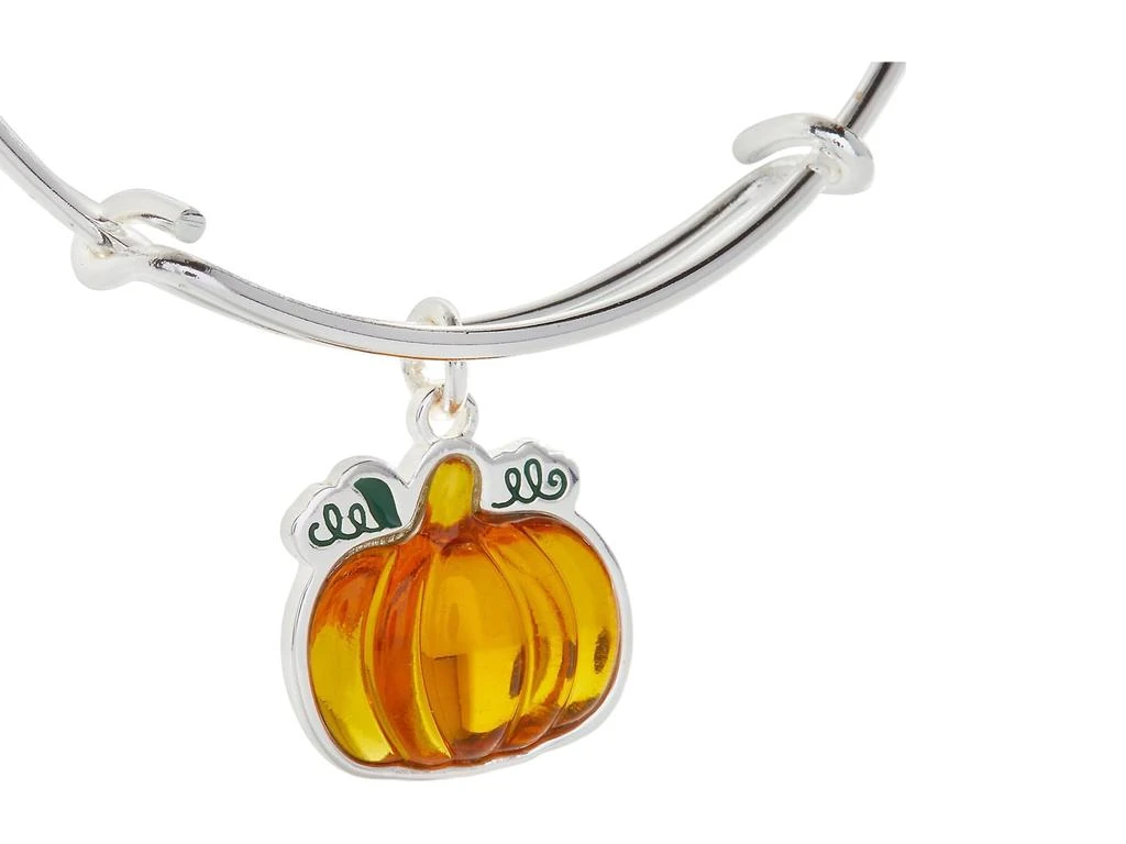 Alex and Ani Pumpkin Bracelet 2