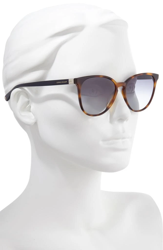 Longchamp Le Pliage 53mm Gradient Cat Eye Sunglasses 2