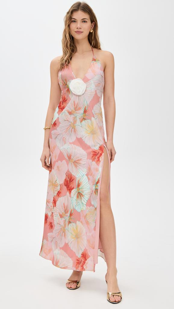 Bardot Aradia Printed Halter Dress