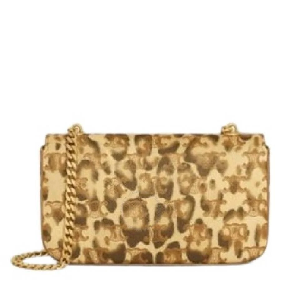 Celine Celine All Over Print Chain Shoulder Bag 2