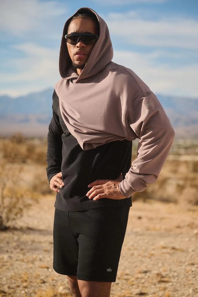 Alo Double Take Hoodie - Mushroom 6