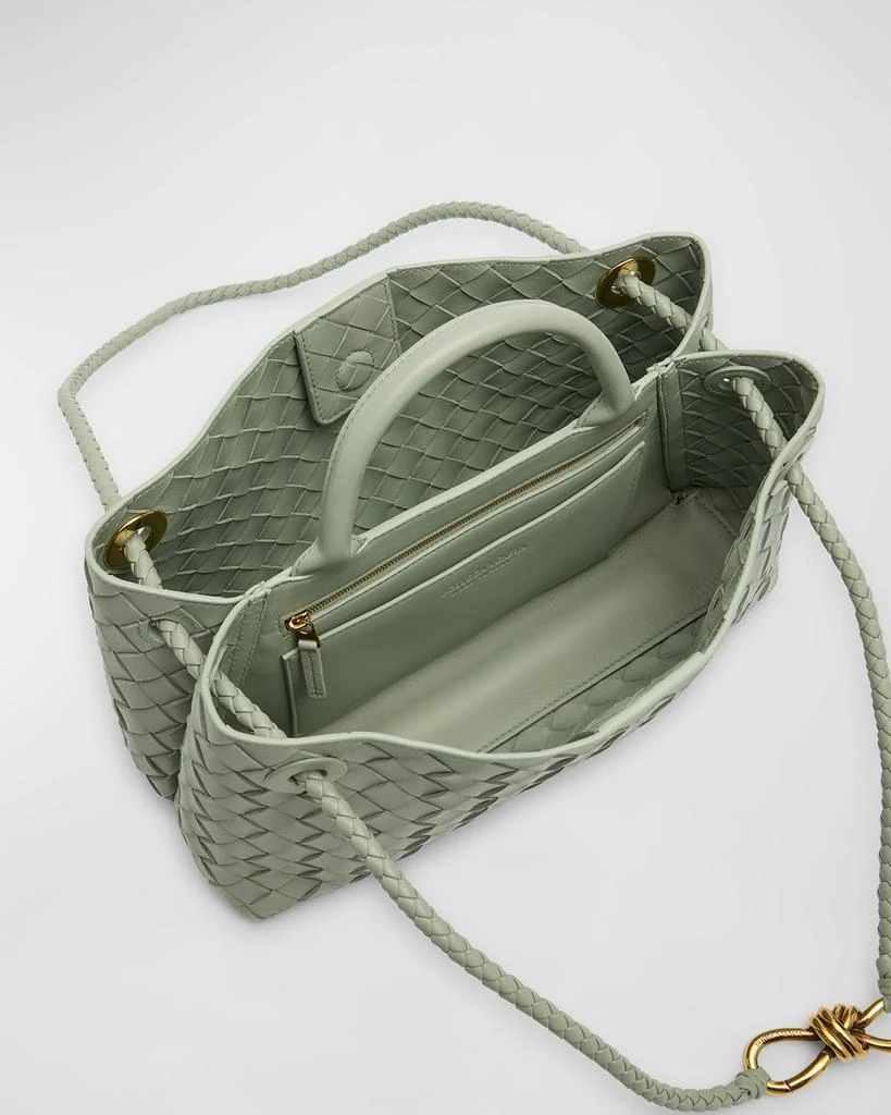 Bottega Veneta Small East-West Andiamo Bag 4