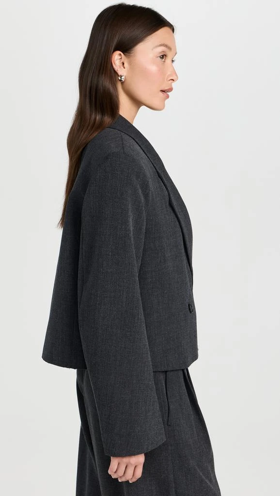 Pixie Market Dani Cropped Boxy Blazer 3