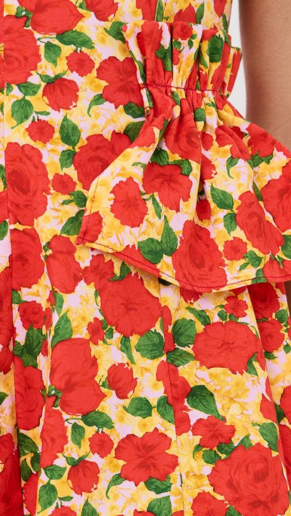 Kika Vargas Gabriela Dress Red Rose Cotton 5
