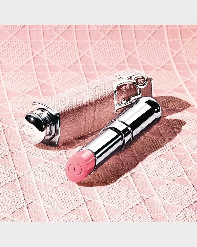 Dior Dior Addict Refillable Shine Lipstick - Couture Case 2