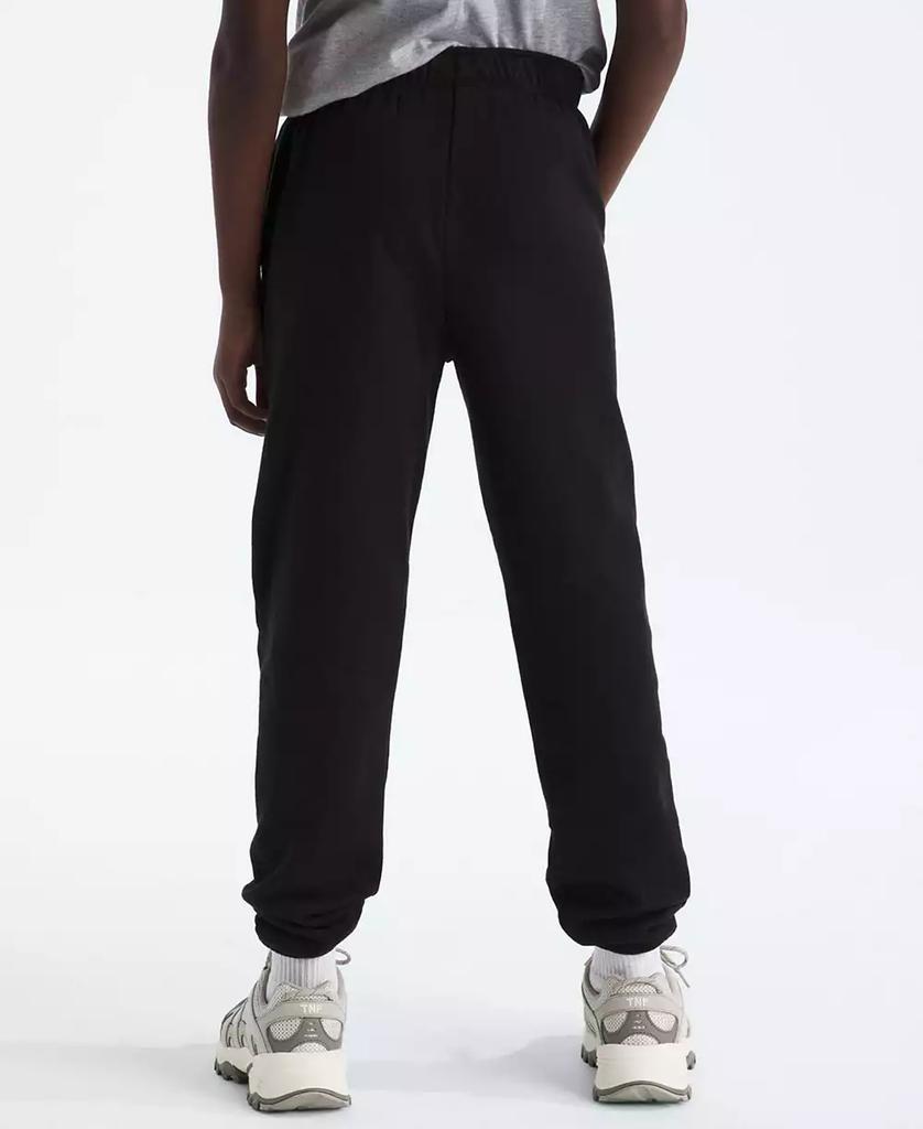 The North Face Big Boys Teen Evolution Pants