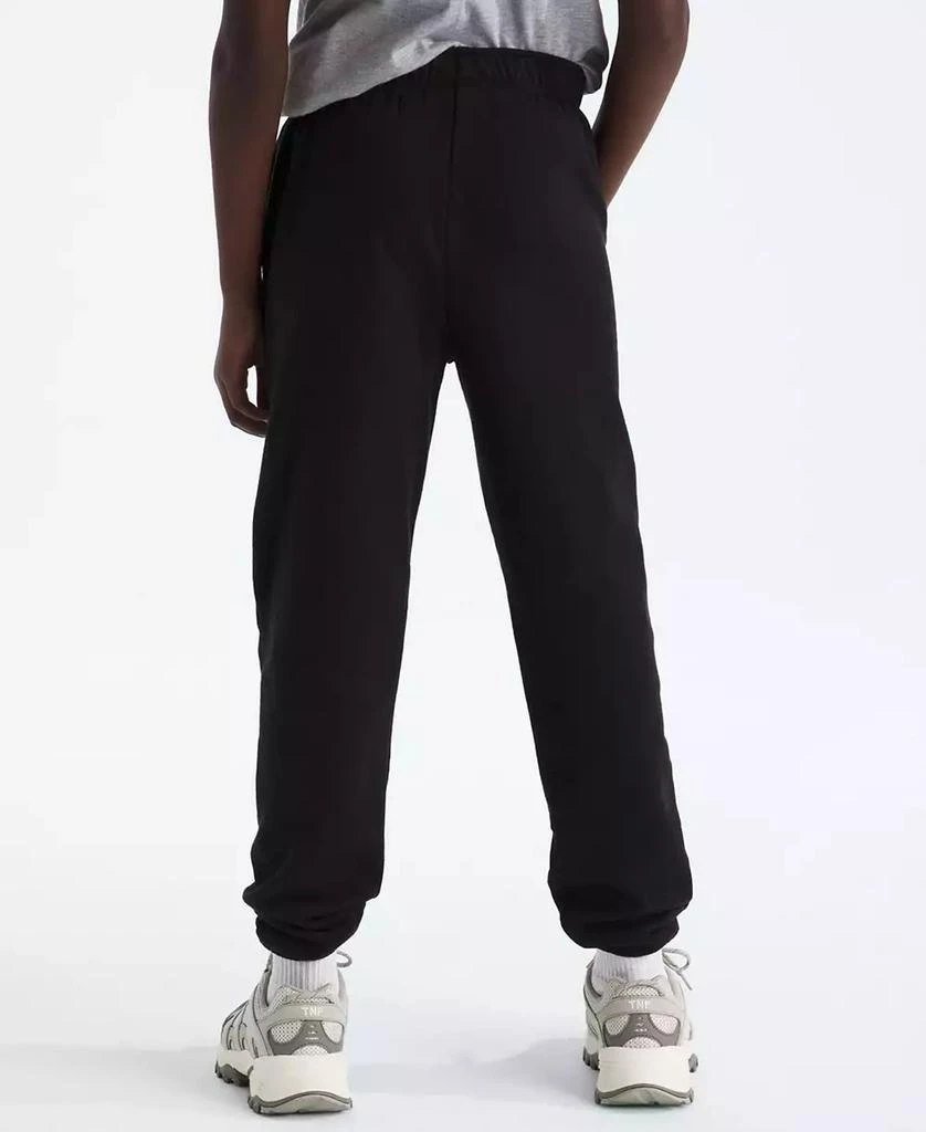 The North Face Big Boys Teen Evolution Pants 2