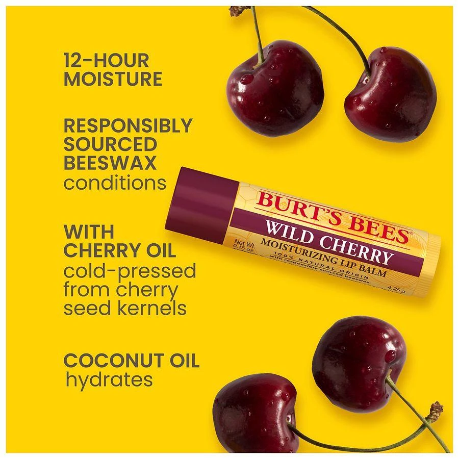 Burt's Bees Lip Balm Pack Wild Cherry and Vanilla Bean 5