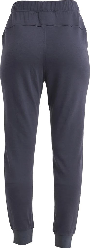 Icebreaker 200 Crush II Merino Blend Pant - Women's 2