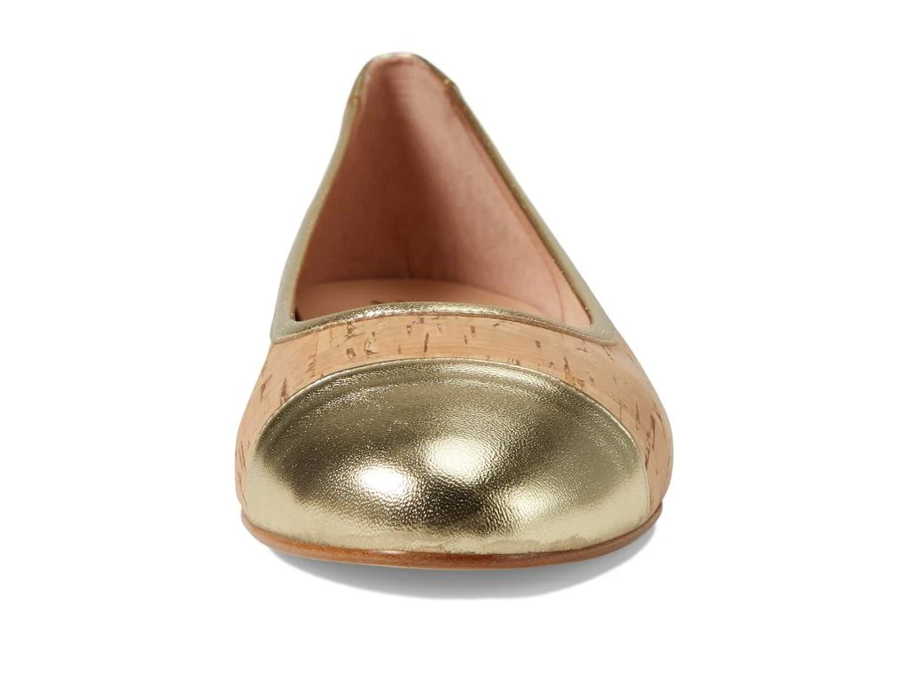 French Sole Venice 2