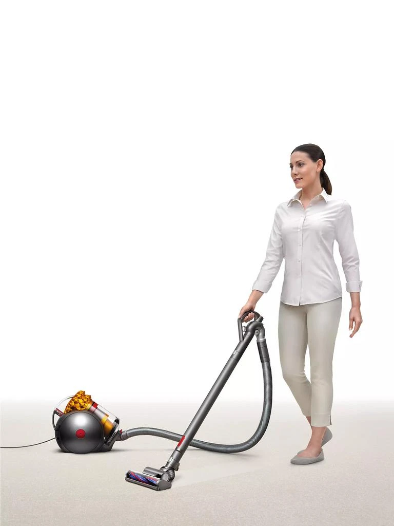 Dyson Big Ball Multi Floor Canister Vacuum 5