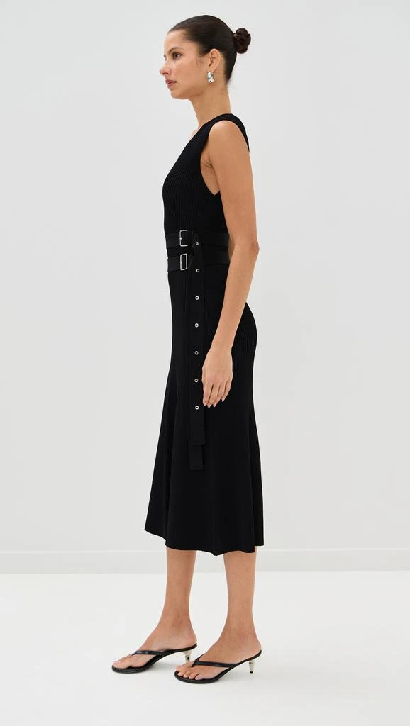 Proenza Schouler Madeline Dress 3