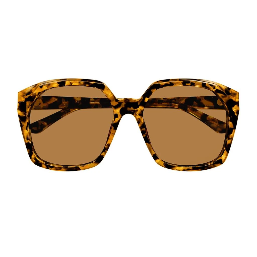 Chloé Ch0280s Linea  007 Havana Brown Sunglasses 1
