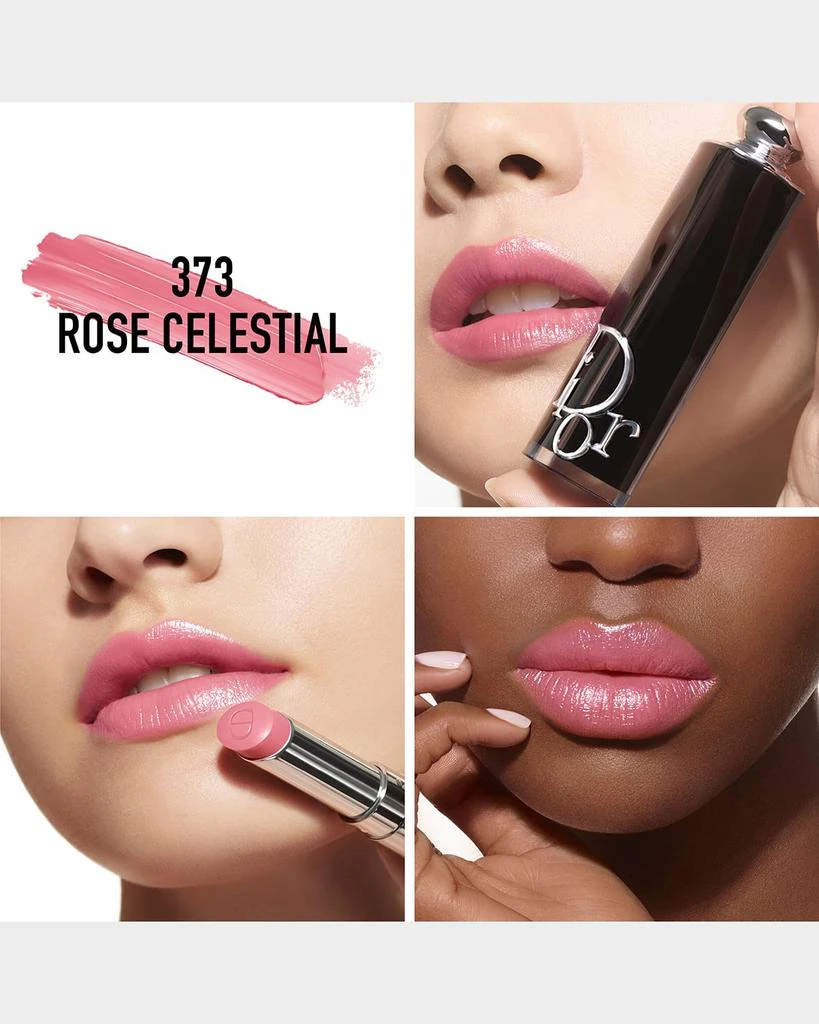 Dior Dior Addict Refillable Shine Lipstick 4