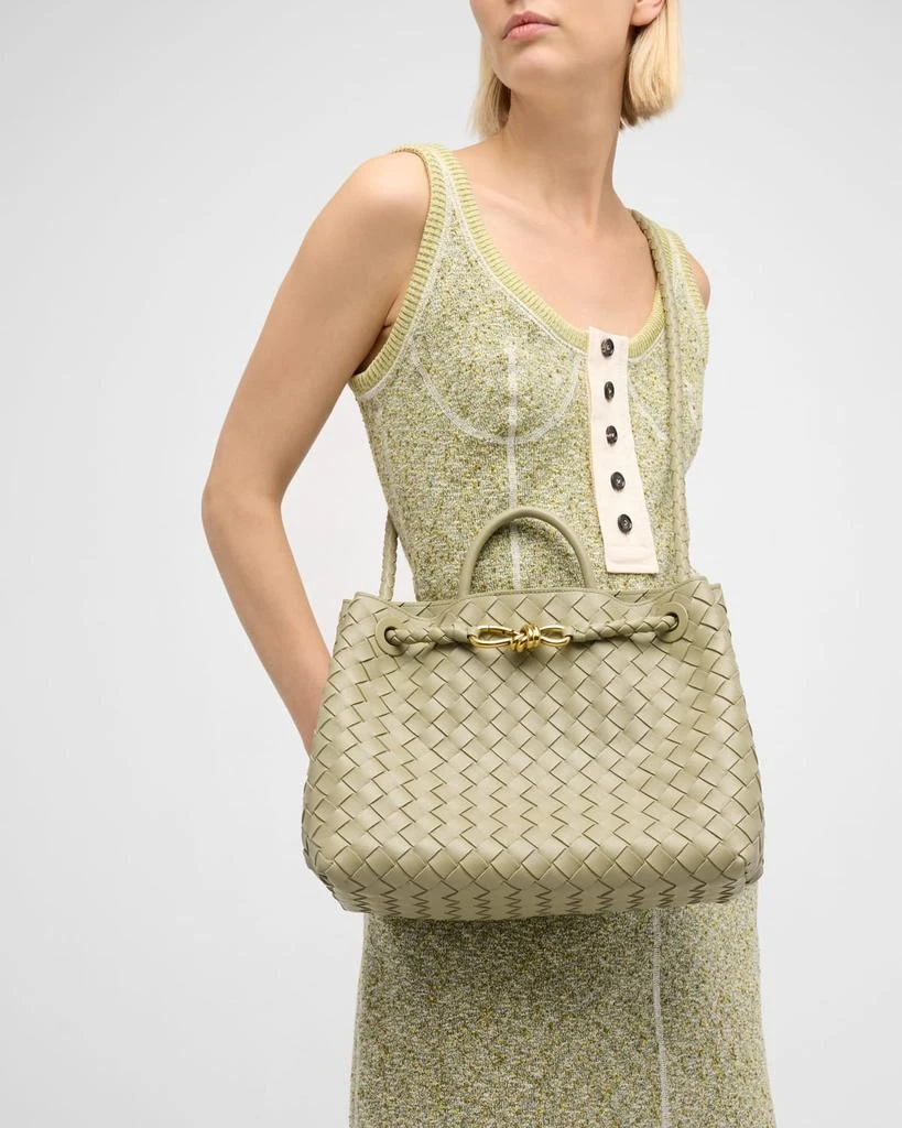 Bottega Veneta Medium Andiamo Bag 5