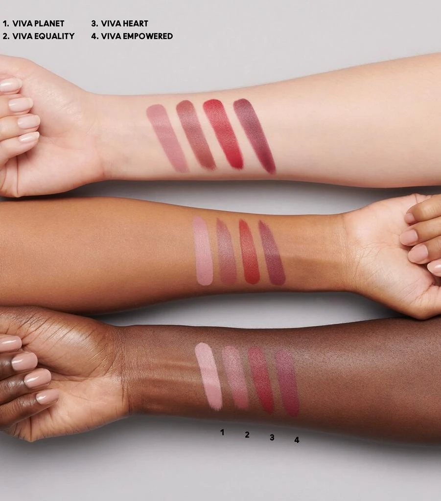 MAC MACximal Silky Matte VIVA GLAM Lipstick 3