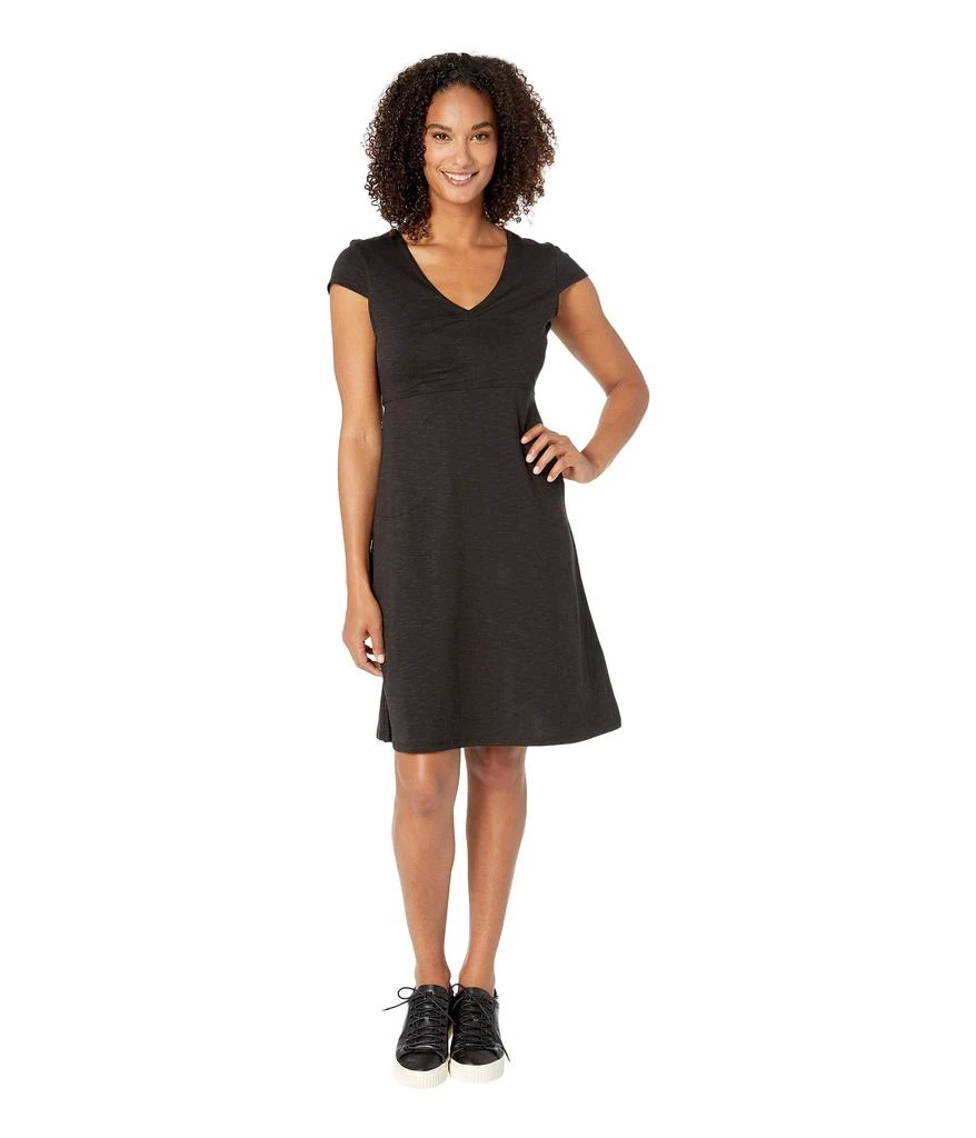 Toad & Co Rosemarie Dress 1