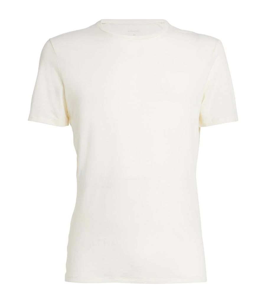 Icebreaker Merino Wool-Blend Anatomica Base Layer T-Shirt 1