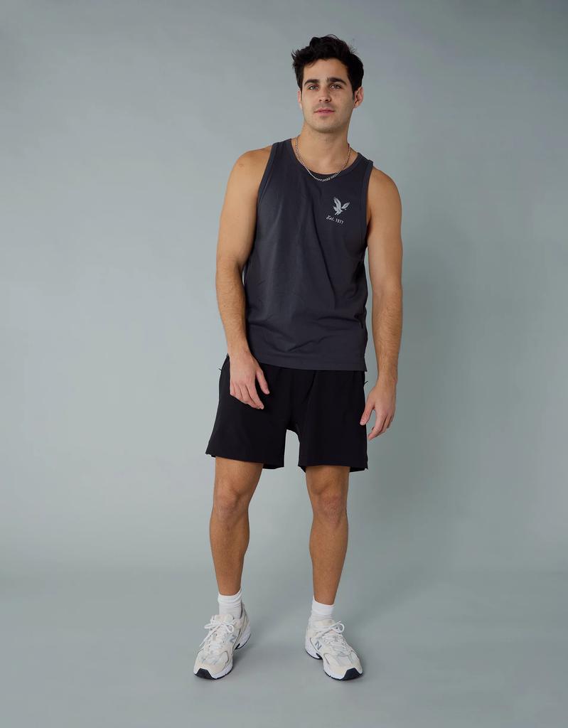 AE AE 24/7 5" Lined Training Short