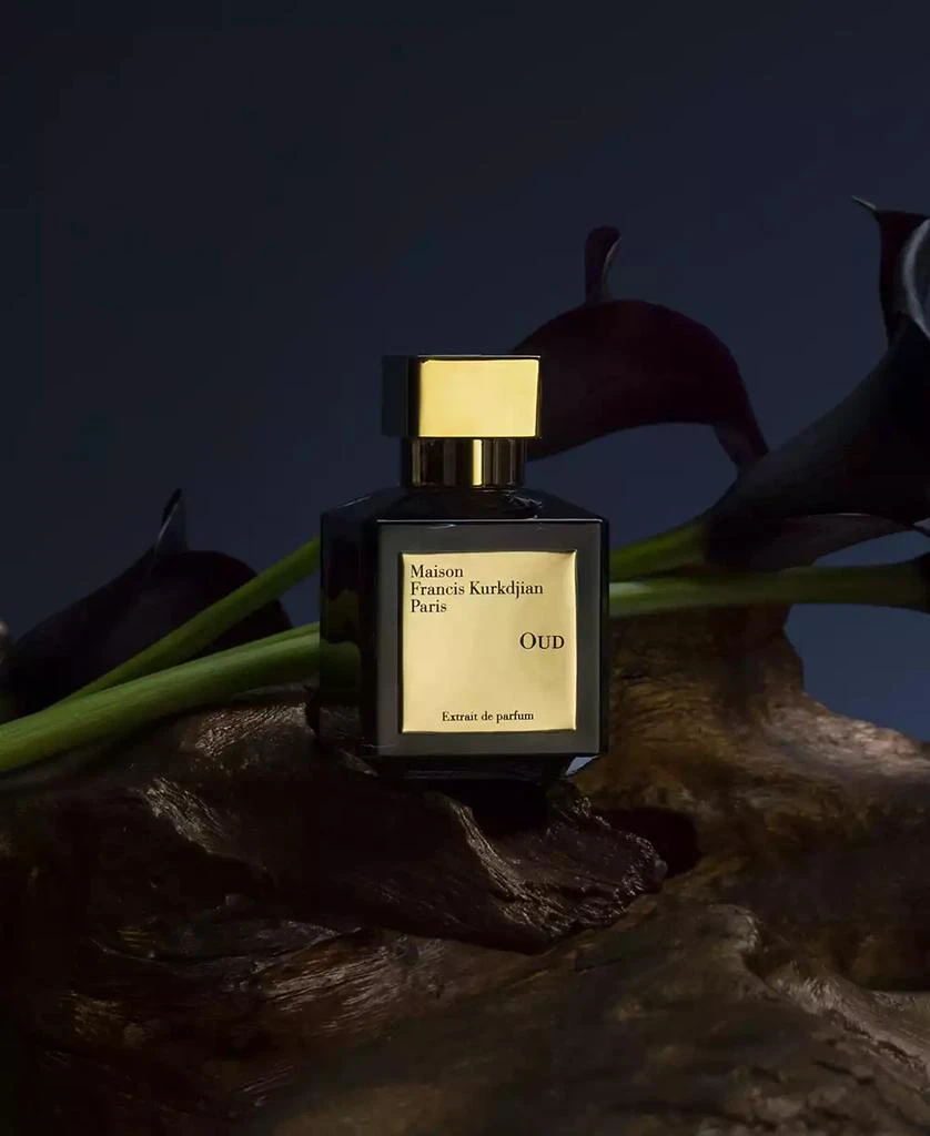 Maison Francis Kurkdjian OUD Extrait de Parfum Spray, 2.4 oz. 5