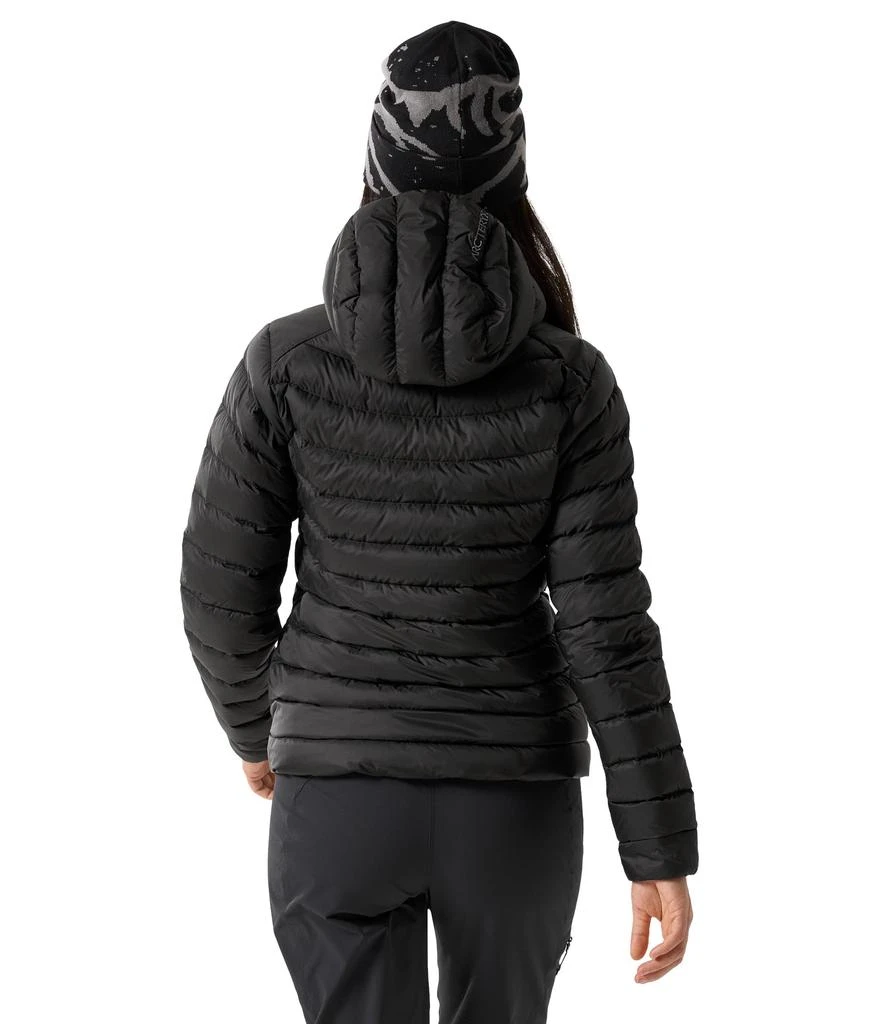 Arc'teryx Cerium Hoody 2