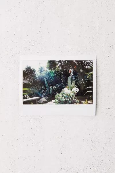 Fujifilm Fujifilm INSTAX Wide Film